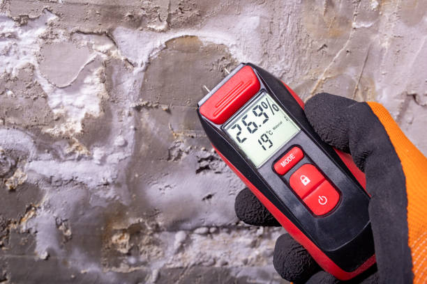 Best Kitchen Mold Remediation in Plymouth, CA